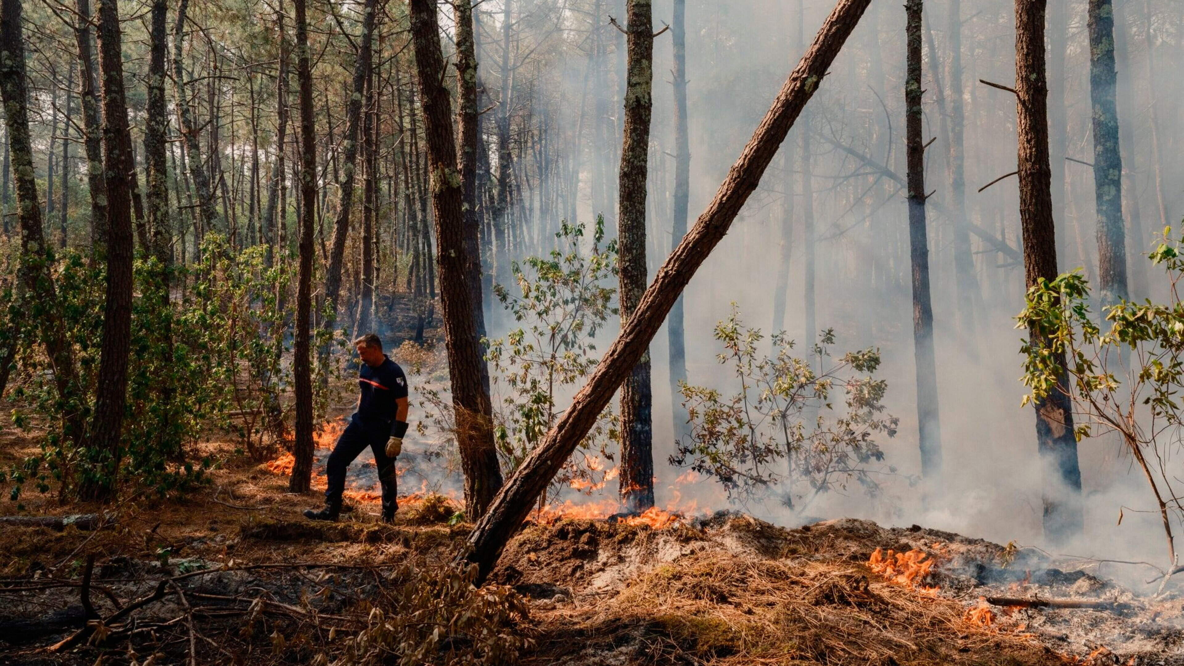 Devastating wildfires continue to rage across France and Spain as temperatures hit 42C